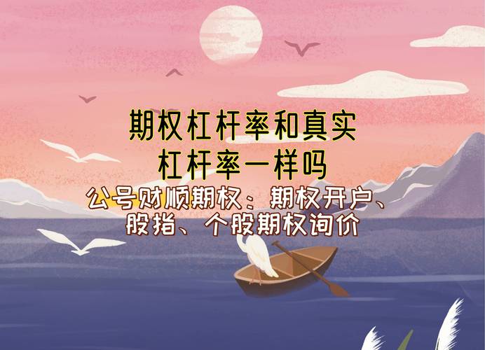 期权杠杆率与真实杠杆率区别_股票杠杆多少倍_期权杠杆率计算公式
