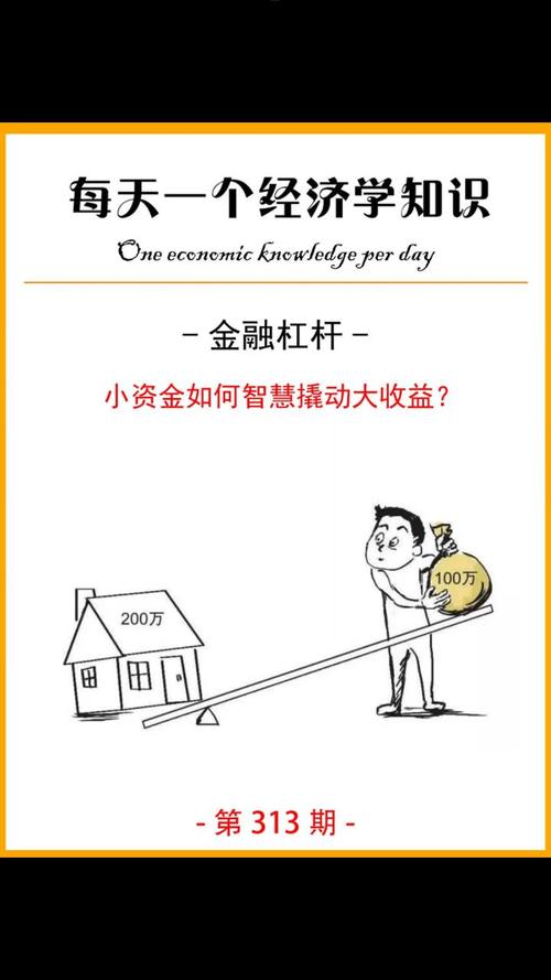 金融杠杆是什么意思_企业杠杆率影响_金融杠杆率作用