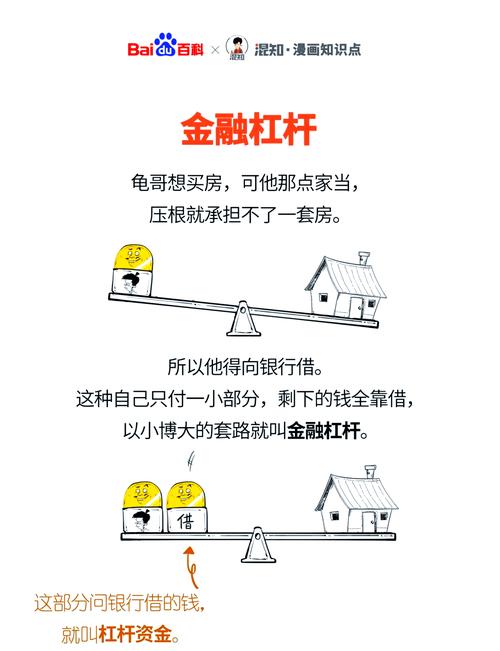 聪明人使用杠杆的风险_股票杠杆是什么意思_金融杠杆风险管理